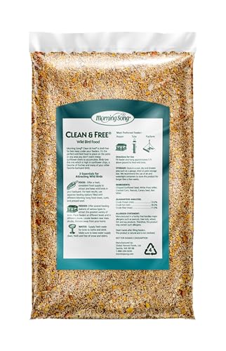 MORNING SONG CLEAN & FREE SHELL FREE WILD BIRD FOOD, PREMIUM NO MESS BIRD SEED FOR OUTSIDE FEEDERS, 10-POUND BAG