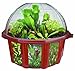 DuneCraft Dome Terrariums - Carnivorous Plants