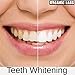 Activated Charcoal Toothpaste Teeth Whitening Powder - ORGANIC LABS®