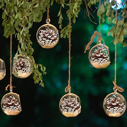 JOHOUSE 24PCS White Pine Cones , Snow PineCones Christmas Pine Cones Natural Pine Cones for Autumn and Winter Decor Christmas Decorations