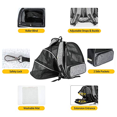 texsens cat backpack