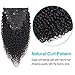 10 Pieces/Set Afro Kinky Curly Clip Ins Hair Extensions 18 inch 8A Grade 4C Kinkys Curly Clip ins Human Hair Extension Natural Black Color for African American Women 120 Gram/Pack with 20 Clips