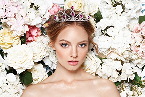Lovelyshop Pink Gems Rhinestone Tiara with Simplified Package, No Comb for Prom Birthday Prinecess Party