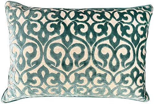 Amazon Com Rodeo Home Georgia Decorative Velvet Throw Pillows For