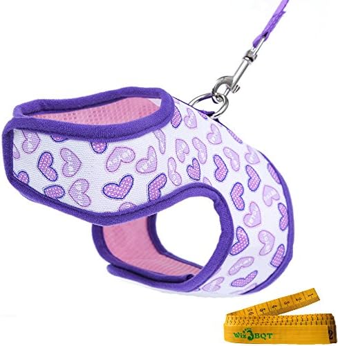 Purple Bright Soft Comfortable Mesh Heart Printed Dog Cat Pet Vest Harness and Matching Leash Set for SMALL Dogs Cats ((13"-15") Chest Girth)
