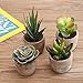 MyGift Faux Succulent Plants, Assorted Decorative Artificial Succulent Plants with Gray Pots, Set of 4