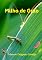 Livro Milho de Grilo