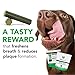 VetriScience Healthy Mouth Dental Chews, Perio Plus Sticks for Dogs, with Probiotics, Spirulina & Zeolites, Breath Freshening, Plaque & Tartar Control, Chicken, 30 Count