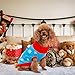 PAWCHIE Dog Christmas Sweater Cute Snowman Sweaters Dog Xmas Holiday Sweater Winter Turtleneck Knitwear Clothes for Small to Large Dog