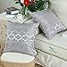 CaliTime Pack of 2 Cushion Covers Throw Pillow Cases Shells for Home Sofa Couch Modern Shining & Dull Contrast Quatrefoil Accent Geometric 20 X 20 Inches Silver Gray