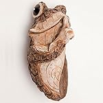 Bits and Pieces - Keep Quiet Frog Tree Peeker - Durable Polyresin Animal Tree-Hugger Sculpture - Lawn and Garden Outdoor Décor Statue
