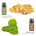 Lagunamoon Tea Tree Essential Oil - Aromatherapy Pure Essential Oils for Diffuser, Humidifier, Massage, Aromatherapy, Skin & Hair Care
