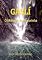 Livro Gasli