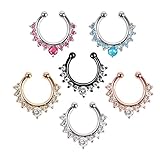Septum Fake Nose Ring Jewelry,Women Girls Septum Ring Faux Nose Rings Non-Piercing Jewelry Clip On Clicker (6 PCS)
