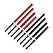 ActionFlex Foam Escrima Stick-Black-28 Inches