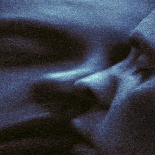 Puma Blue - In Praise Of Shadows (B-Sides and Live Versions