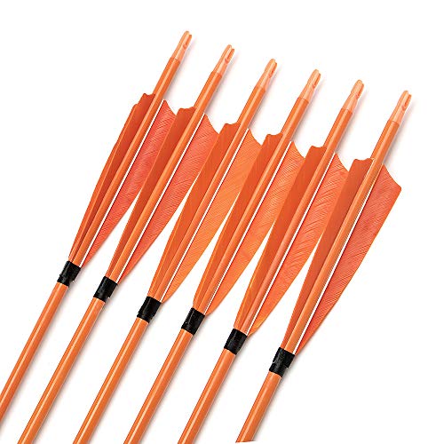 [6 Pack] ARCHERY SHARLY 31" Carbon Archery Practice Arrows 5" Orange Turkey Feather Fletching for Targeting Hunting Recurve & Long Bow - Thumbnail 4