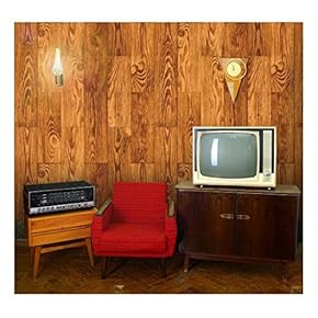 Vertical Stained Brown Wood Textured Paneling Pattern - Wall Mural, Removable Wallpaper, Home Decor - 66x96 inches