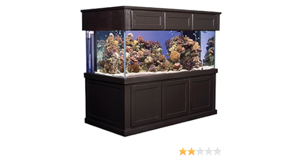 Amazon Com Marineland Starphire Tank Double Corner Flo 300 Gal 72inx36inx27in Aquariums Pet Supplies
