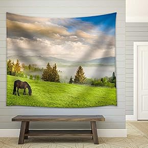 Horse Grazing in a Meadow in a Ukrainian Mountain Valley. Early Morning - Fabric Wall Tapestry Home Decor - 51x60 inches