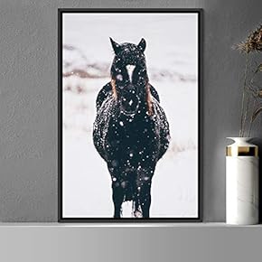 signwin Framed Canvas Wall Art Horse Animals Dramatic...