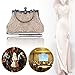 Bagood Women's Vintage Style Beaded And Sequined Evening Bag Wedding Party Handbag Clutch Purse