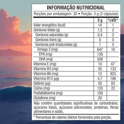 Kit 2 Omegafor Memory Vitafor 60 Cápsulas