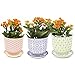 CHIVE ‘Liberte’ Ceramic Succulent Pots — Set of 3 — Cute Vintage Farmhouse Style Planters for Indoor Plants — Beautiful Home & Kitchen Decor — Red, Green & Blue (Mix 4)