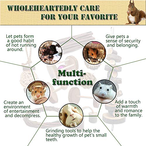 10 Pack Small Animal Combo Apple Wood Activity Toys, Hamsters Chew Toys