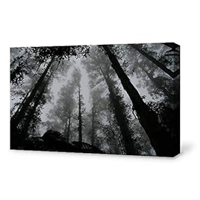 Canvas Wall Art for Living Room,Bedroom Home Artwork Paintings Forest Theme Ready to Hang - 12x18 inches