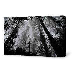 SIGNFORD Canvas Wall Art for Living Room,Bedroom Home...