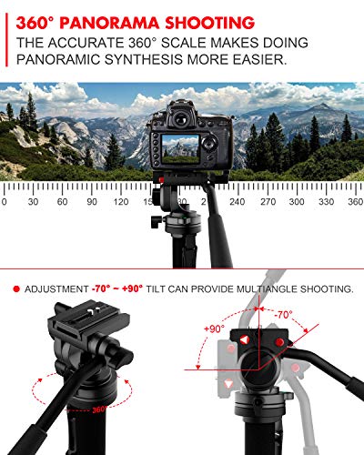KINGJOY Video Monopod Kit, with Fluid Head and Removable Tripod Feet, 69 inch Max Height 22lbs Max Load for DSLR Cameras, MP3008+KH-6750