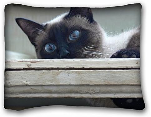 Wdfskja Standard Pillow Case Animals cat animal Tasia Siamese 20"26" One Side