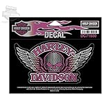 Harley-Davidson Willie G Skull Wings Medium Decal
