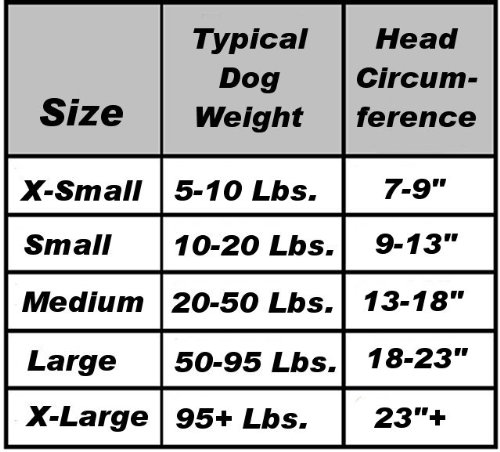 meteorlight dog ball