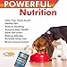 Power Your Pet Premium Wild Icelandic 100% Natural Omega 3 Fish Oil for Dogs & Cats - Supports Healthy Skin, Coat, Hip, Joints, Heart and Immune System - DHA & EPA Nutrient Rich - 16oz