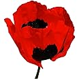 Turkish Poppy Seeds - Tall Poppy with Black Markings - 3000 Seeds