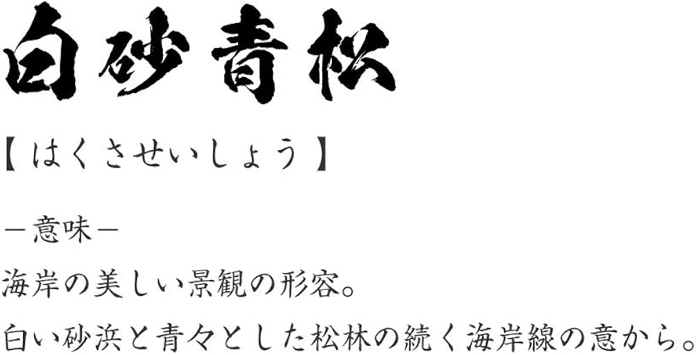 Amazon 白砂青松 はくさせいしょう オリジナル Tシャツ 書道家が書く プリント Tシャツ 四字熟語 メンズ レディース キッズ Tシャツ カットソー 通販 Amazon 白砂青松 はくさせいしょう オリジナル Tシャツ 書道家が書く プリント Tシャツ 四字熟語 メンズ レディース キッズ Tシャツ カットソー 通販