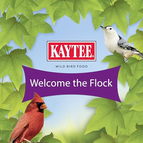 KAYTEE NUT & FRUIT WILD BIRD SEED, 5 LB