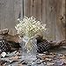 Dried Flower,Han Shi Modern Natural Gypsophila Home Decor Sky Star Babys Breath Gift (L, A)
