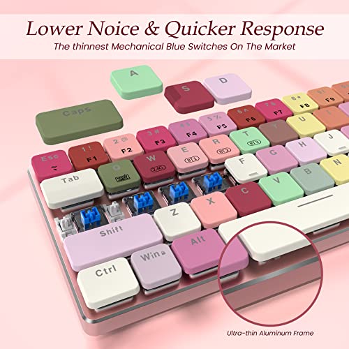 RisoPhy RGB Wireless Keyboard,60 Mechanical Gaming Keyboard with Metal