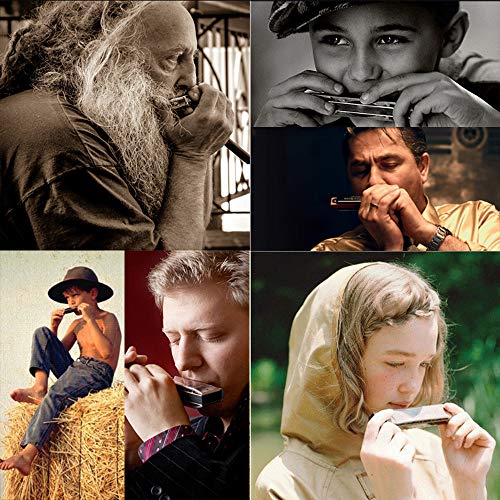 Chromatic Harmonica 10 Holes 40 Tone in C Key Stainless Steel Chromatics Harmonica with Hard Beautiful Case for Professional Player, Mouth Organ Harp Silver Best Music Gift for Beginner Student