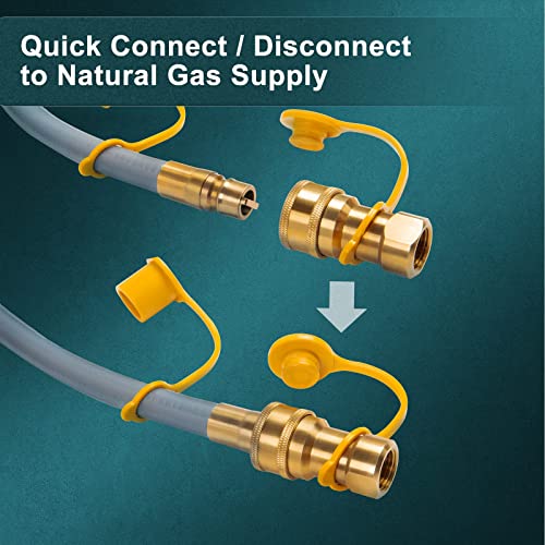 GASPRO 3/8" ID Natural Gas Hose, Low Pressure LPG Hose with Quick