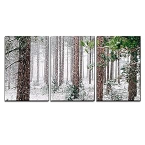 Pine Trees Covered with Snow x3 Panels