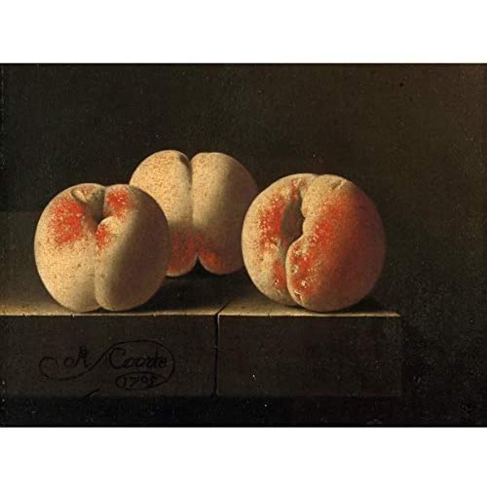 Artery8 Coorte Three Peaches On A Stone Plinth Painting Art Print Canvas Premium Wall Decor Poster Mural