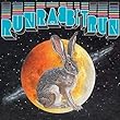 Run Rabbit Run