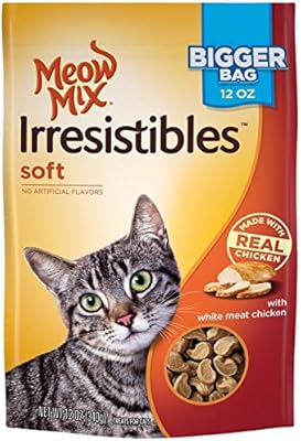 savannah house cat for sale