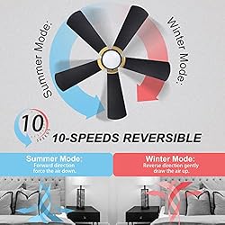 5 Blade Smart Ceiling Fan with Lights, 10-speed