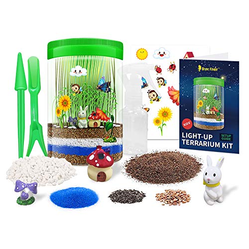 2 Terrarium+Light+up+Birthday+Educational+Miniature