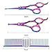 HAVARGO Dog Grooming Scissors, Heavy Duty Stainless Steel, Round Top Pet Grooming Trimmer Kit - Thinning, Straight, Curved Shears - Comb, Dog Cat Shears for Full Body